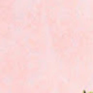 Meet your Posher, Mear